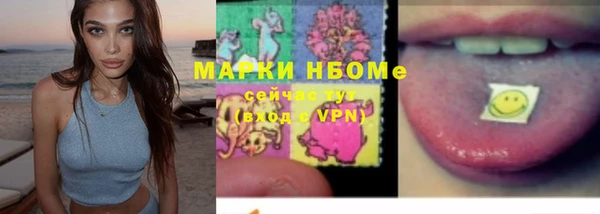 гашик Надым
