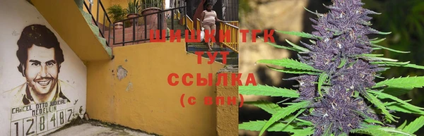 spice Лихославль