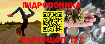 ECSTASY Камышлов