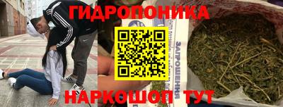 амф Канаш