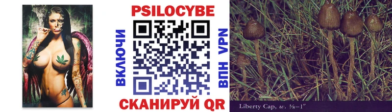 Галлюциногенные грибы Psilocybine cubensis  Чайковский 