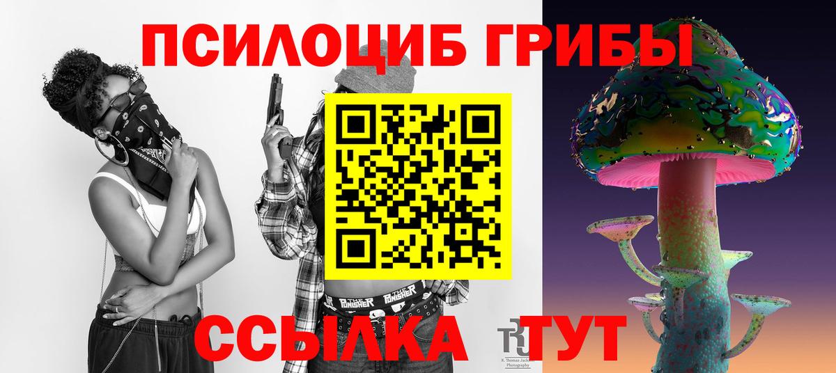 Псилоцибиновые грибы Psilocybine cubensis  Чайковский 